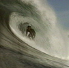 Surfing Surfing
