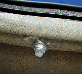 Seal hatch strap nuts