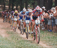 Olympic bike racing