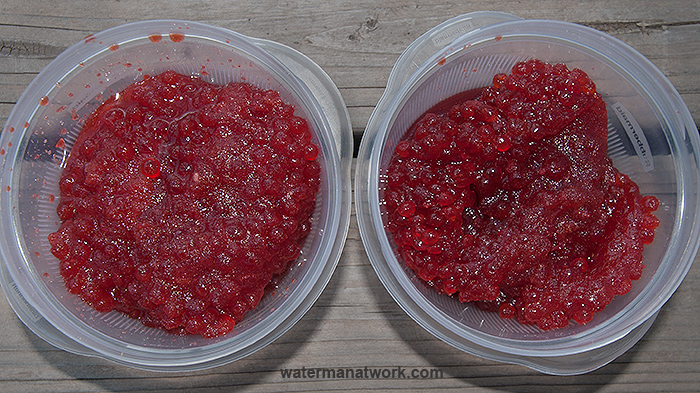 Curing Salmon Eggs