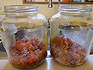 Place the eggs into glass jars