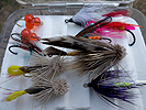 Pacific Northwest steelhead and salmon flies