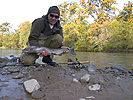 Klickitat River Chinook salmon