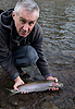 Klickitat River steelhead