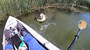 2021 Colorado River Kayak Fishing