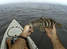 Click HERE for Shelter Island bay fishing video