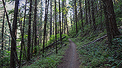 Click HERE for The Evergreen Freeway