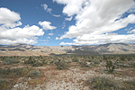 Clark Valley - Santa Rosa Mts