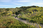 Back side trail