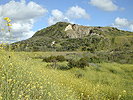 The Quarry-April 2003