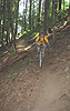 Hardesty singletrack