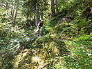 Coming Down Larrison Creek Trail