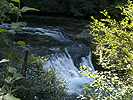 Salmon Creek waterfall