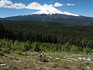 View from Surveyors Ridge