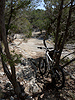 Slickrock trail section