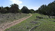 Pace Bend Park trail