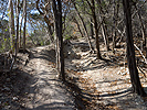 Endo Valley trail lines