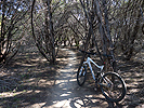 Point Six Loop