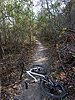Walnut Creek Park singletrack
