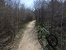 Walnut Creek Park trail