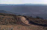 Downhill from Palomar Mt. into Pauma Valley